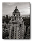 Assouline The Carlyle