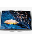 Assouline Iceland Epic