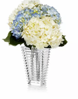 Baccarat Rectangular Clear Eye Vase: Small