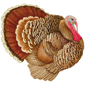 Caspari Turkey Paper Placemats: 12 count