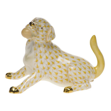 Herend Labrador with Ball : Butterscotch