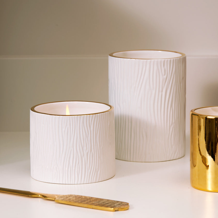Frasier Fir Gilded Ceramic Candle 11 oz.