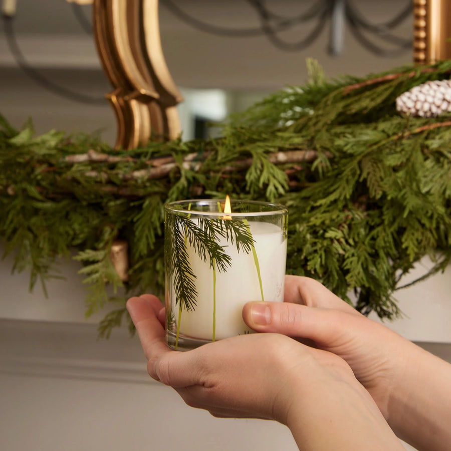Frasier Fir Pine Needle Candle - 6.5 oz.