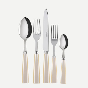 Hall-Sullivan Wedding Registry: Sabre Icone 5-Piece Place Setting