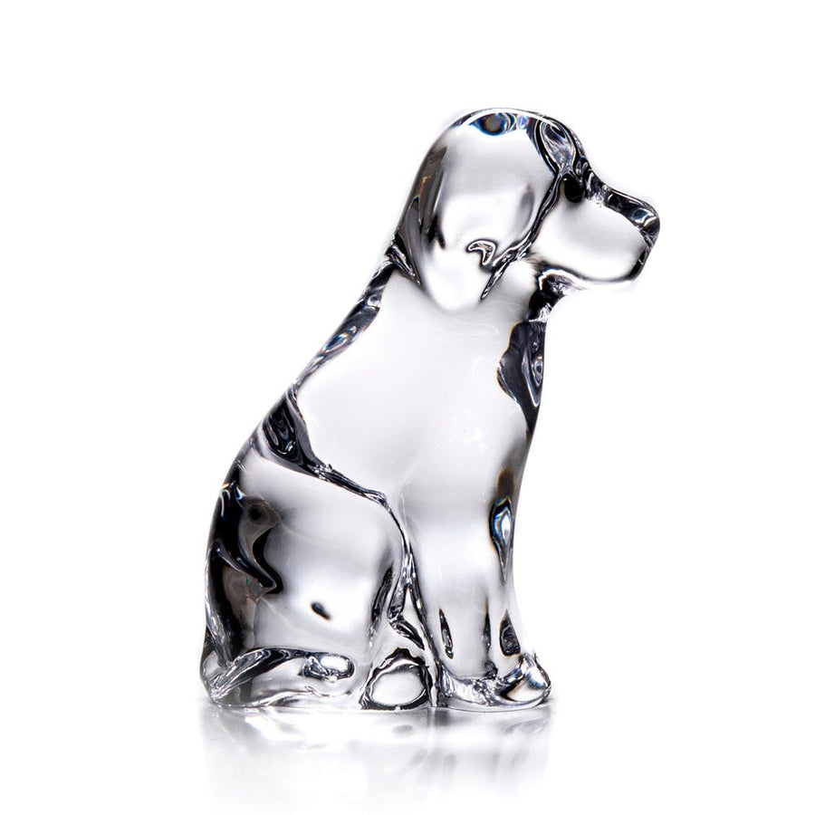 Simon Pearce Dog